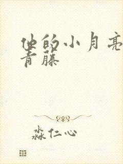 他的小月亮by青藤