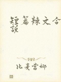 短篇辣文合集小说