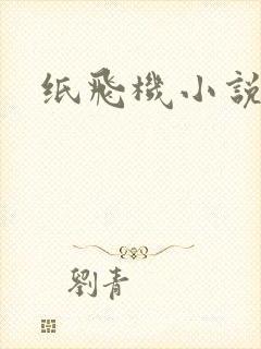 纸飞机小说