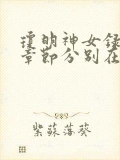 琼明神女录精彩章节分别在哪