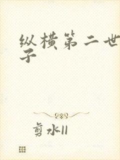 纵横第二世界宽子