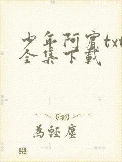 少年阿宾txt全集下载