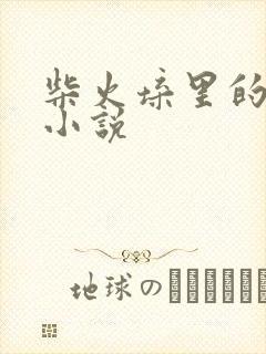 柴火垛里的疯狂小说