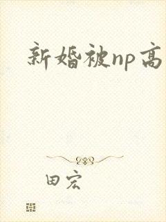 新婚被np高h