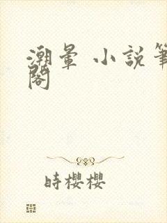 潮晕 小说笔趣阁