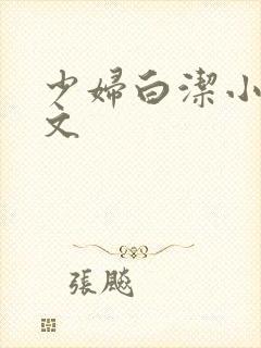 少妇白洁小说全文