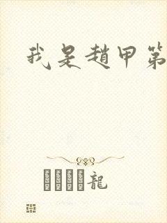 我是赵甲第小说