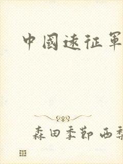 中国远征军小说