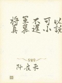 将军不可以魏云真慕迟小说笔趣阁