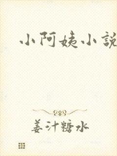 小阿姨小说