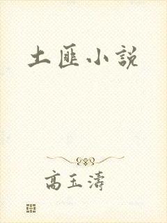 土匪小说