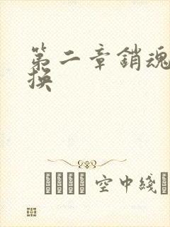 第二章销魂的交换