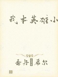 我本英雄小说
