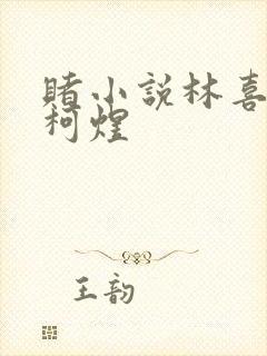 赌小说林喜朝和柯煜