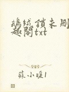 鹅绒锁未删除笔趣阁txt