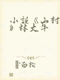 小说《山村情事》林大牛
