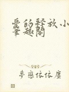 爱的释放小说 笔趣阁