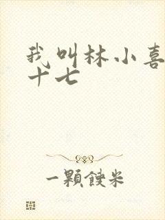 我叫林小喜今年十七