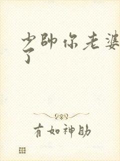 少帅你老婆又跑了