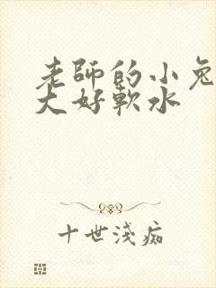 老师的小兔子好大好软水