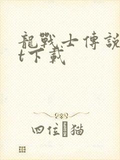 龙战士传说txt下载