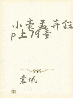 小豪孟卉钰慧三p上79章