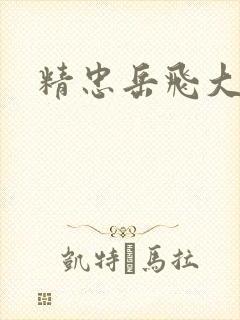 精忠岳飞大结局