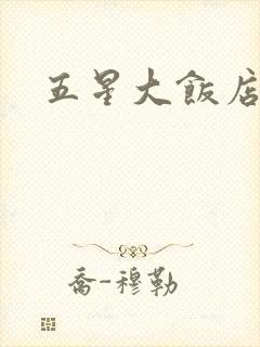 五星大饭店小说
