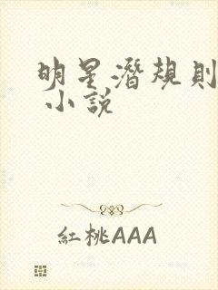 明星潜规则之皇 小说