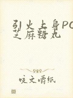 引火上身POP芝麻糖丸