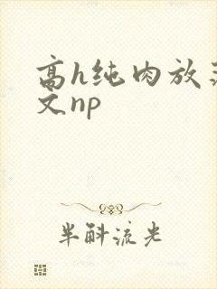 高h纯肉放荡h文np