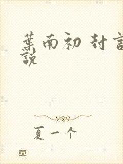 叶南初 封言小说