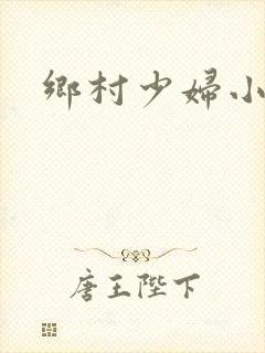 乡村少妇小说