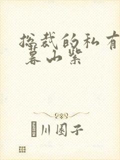 总裁的私有宝贝 暮山紫