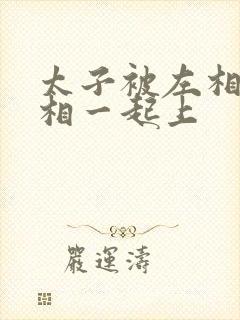 太子被左相和右相一起上