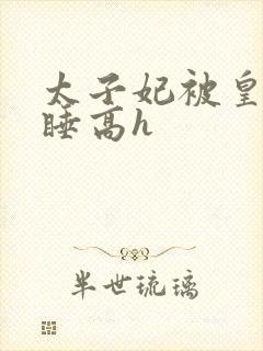 太子妃被皇上强睡高h