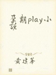 孕期play小说