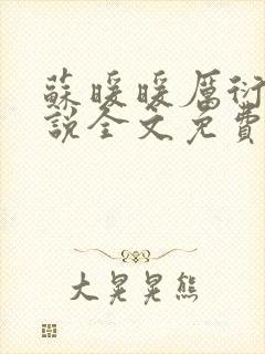 苏暖暖厉衍琛小说全文免费阅读