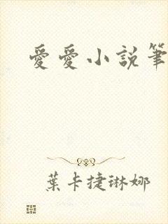 爱爱小说笔趣阁