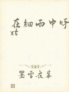 在细雨中呼喊txt