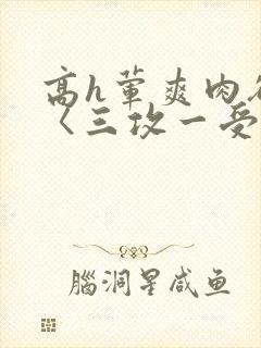 高h荤爽肉欲文〈三攻一受