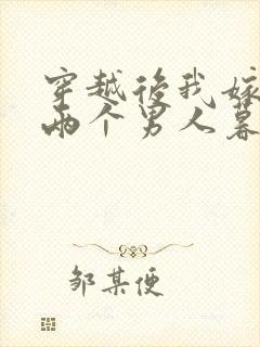 穿越后我嫁给了两个男人暮色酒歌