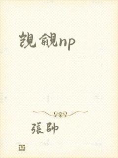 觊觎np