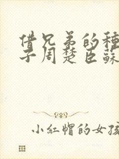 借兄弟的种生孩子周楚臣苏糖