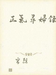 正气寻妇录