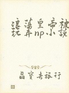 浪荡皇帝被多人玩弄np小说