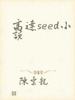 高达seed小说