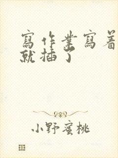 写作业写着写着就插了