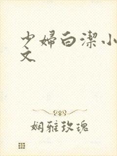 少妇白洁小说全文