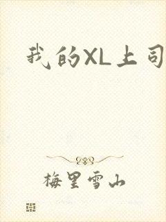 我的XL上司